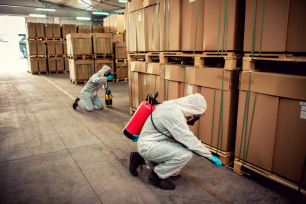 Best Exterminator Services  in China Grove, TX