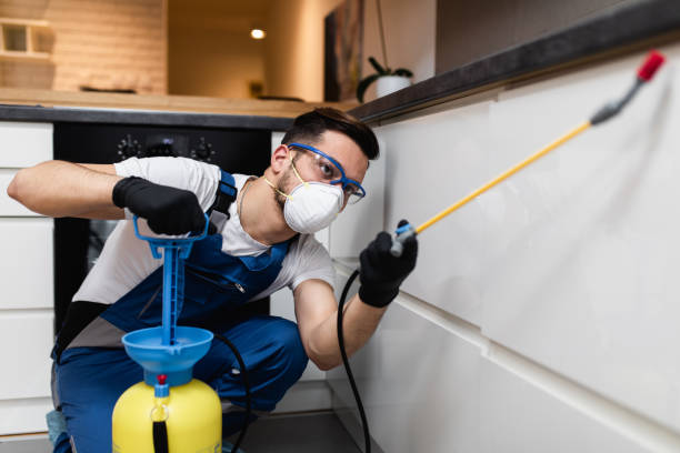 Best Pest Removal Services  in China Grove, TX