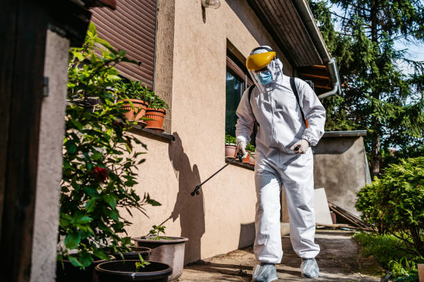 Best Rat Extermination Near Me  in China Grove, TX