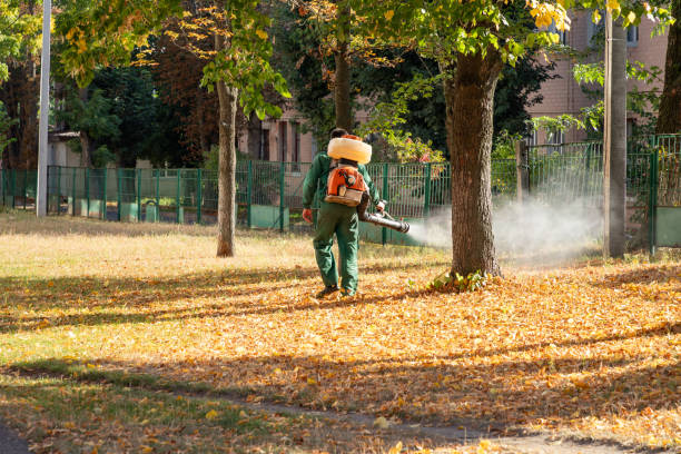 Best Commercial Pest Control Services  in China Grove, TX