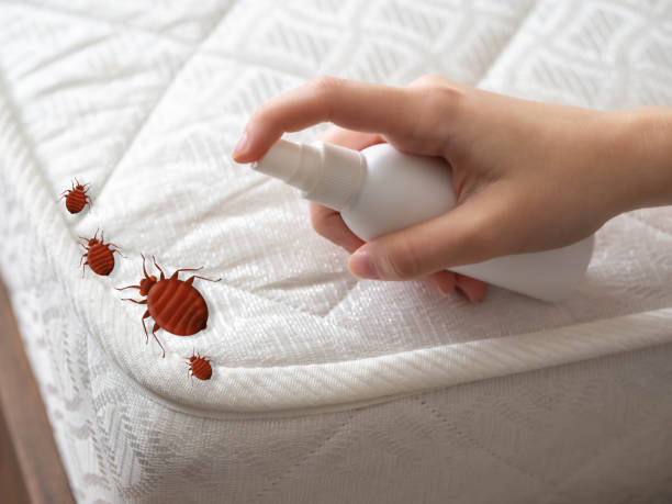 Best Best Pest Control Companies  in China Grove, TX