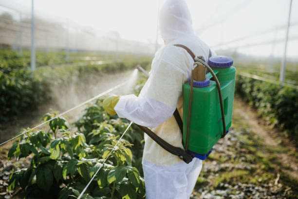 China Grove, TX Pest Control Pros